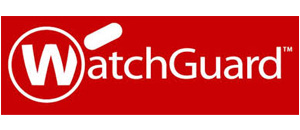 SEGURIDAD PERIMETRAL